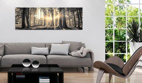 Πίνακας - Forest Sun 120x40