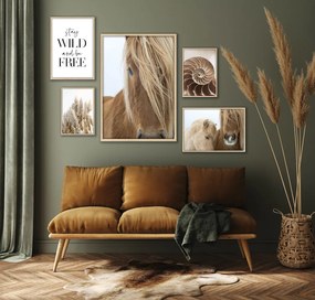 Σύνθεση κάδρων φυσικό ξύλο Wild and Free PST061