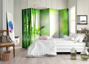 Διαχωριστικό με 5 τμήματα - Green Bamboo II [Room Dividers] 225x172