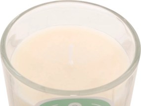 Κερί Αρωματικό 210gr (Φ8.3x9) A-S Floa Monoi 207012F