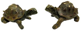 Διακοσμητική Χελώνα Σετ 2τμχ Polyresin Royal Art 9x19εκ.-9x18εκ. IKO99616