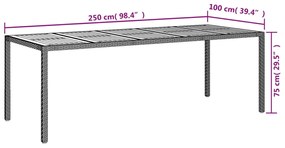 vidaXL Τραπέζι Κήπου Μαύρο 250 x 100 x 75 εκ. από Συνθετικό Ρατάν