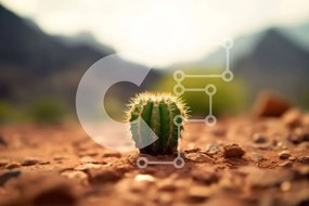 Intra Συλλεκτικό Ξύλινο Παζλ Plywood 4mm - Όμορφη εικόνα ενός μικρού κάκτου σε μια βραχώδη έρημο Σε Ξύλινο Κουτί - Διαστάσεις: 10x10 cm – 25 κομμάτια