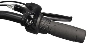 Walesa 28 Inch 50 cm Women 3SP Roller brakes Matte black