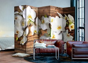 Διαχωριστικό με 5 τμήματα - Forest Orchid II [Room Dividers] 225x172