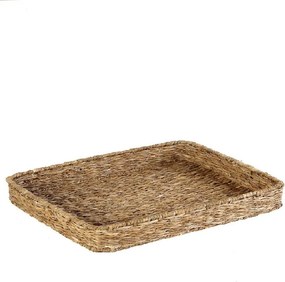 ΔΙΣΚΟΣ ΟΡΘΟΓ.SEAGRASS GN1/1 L 53X32,5X8ΕΚ