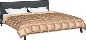 vidaXL Χειμερινό Παπλωματοθήκη 200 x 220 cm 450 gsm Χρυσό