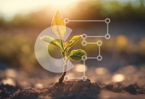 Intra Συλλεκτικό Ξύλινο Παζλ Plywood 4mm - Νεαρό φυτό που βλασταίνει από το έδαφος Σε Ξύλινο Κουτί - Διαστάσεις: 10x10 cm – 25 κομμάτια