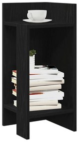 Πλαϊνά Τραπεζάκια 2 τεμάχια με Ράφι Μαύρο 25,5x27x60 cm