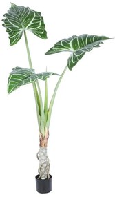 Supergreens Τεχνητό Δέντρο Αλοκάσια "Macrorrhiza" Πράσινο 160 εκ.