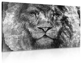 Εικόνα προσώπου λιονταριού σε ασπρόμαυρο - 90x60