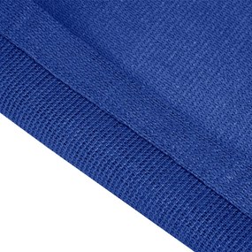 vidaXL Χαλί Σκηνής Μπλε 250 x 600 εκ. από HDPE