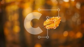 Intra Συλλεκτικό Ξύλινο Παζλ Plywood 4mm - Μονό κίτρινο φύλλο που επιπλέει στον αέρα Σε Ξύλινο Κουτί - Διαστάσεις: 10x10 cm – 25 κομμάτια