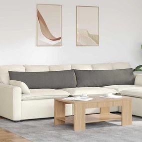 vidaXL Μαξιλάρι Καναπέ 2 pcs Ανοιχτό γκρι 145 x 40 εκ.