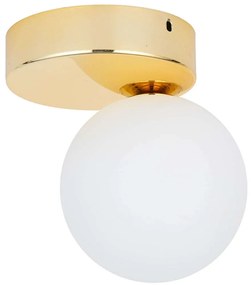 Φωτιστικό Οροφής - Πλαφονιέρα Bianca 4695 1xG9 6W 16x15cm Gold TK Lighting