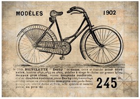 Φωτοταπετσαρία - Old School Bicycle 300x210