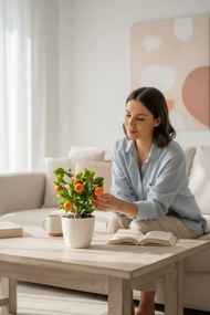Stewehome Τεχνητό λεμονιά με μπαμπού κορμό σε πλαστική γλάστρα