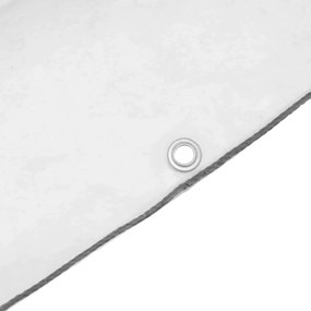 vidaXL Κάλυμμα Φυτών Διαφανές 1 x 2 m PE