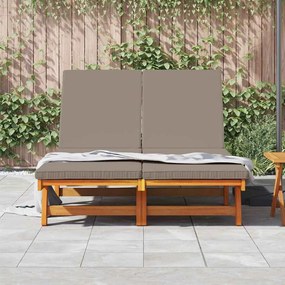 vidaXL Ξαπλώστρα 2-πρόσωπο Καφέ 125 x 200 x 84 εκ. Μασίφ ξύλο ακακίας