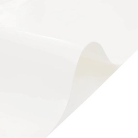vidaXL Μουσαμάς Λευκός 5 x 6 μ. 650 γρ./μ²