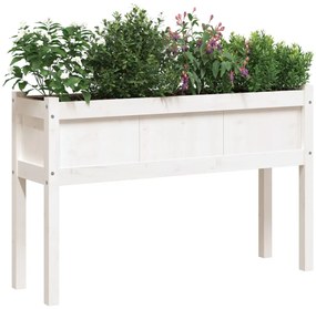 vidaXL Ζαρντινιέρα με Πόδια Λευκή 110x31x70 εκ. από Μασίφ Ξύλο Πεύκου