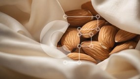 Σετ των 2 Intra Συλλεκτικό Ξύλινο Παζλ Plywood 4mm - Αμύγδαλα σε μαλακό ύφασμα Σε Ξύλινο Κουτί - Διαστάσεις: 10x10 cm – 25 κομμάτια