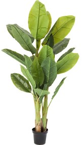 Φυτό Banana Tree 180 εκ. - Πράσινο