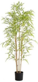 New plan BAMBOO  NP6320_150_22 ΥΨΟΣ 150cm Τεμαχιο