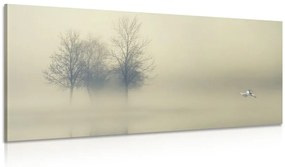 Φανταστείτε δέντρα στην ομίχλη - 100x50