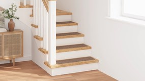 vidaXL Αυξημένα Σκαλοπάτια  με Λατέξ Καφέ 20x75 εκ.