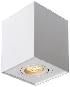 Φωτιστικό Οροφής Lucide 22953-01-31 TUBE Λευκό (White)