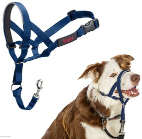 Ρύγχος Company of Animals COBALT Μπλε 2