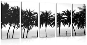 Εικόνα 5 μερών ενός ηλιοβασιλέματος πάνω από φοίνικες σε μαύρο & άσπρο - 100x50