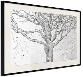 Αφίσα - Tangled Branches - 30x20 - Μαύρο - Με πασπαρτού