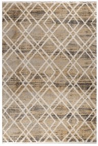 ETRO 067X500 ΣΕΤ ΤΑΠ. Ρ.Ρ.  345-0-335-35782-956