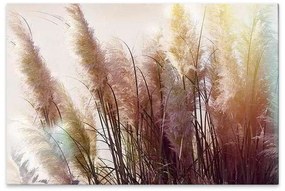 Πίνακας σε καμβά Soft Pampas&quot; Megapap ψηφιακής εκτύπωσης 90x60x3εκ.&quot;
