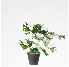 Τεχνητό Φυτό Μονστέρα Albo Variegata 45 εκ. 3870-6 Supergreens-3870-6-Πράσινο 3870-6