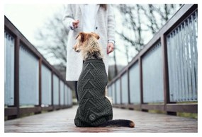 Πουλόβερ Σκύλου Hunter Malmö