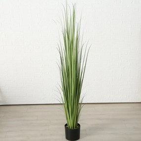 ΦΥΤΟ ΓΡΑΣΙΔΙ Sir  d50 H182cm PVC ΠΡΑΣΙΝΟ