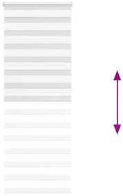vidaXL Ζέβρα τυφλή Λευκό Πλάτος υφάσματος 65,9 εκ. Πολυεστέρας