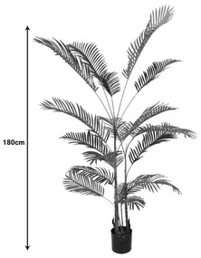 ΔΙΑΚΟΣΜΗΤΙΚΟ ΦΥΤΟ ARECA ΙΙΙ ΣΕ ΓΛΑΣΤΡΑ INART ΠΡΑΣΙΝΟ PP Υ180ΕΚ