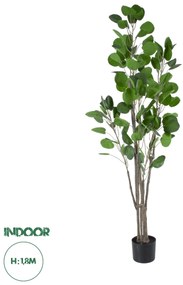 20375 GloboStar® Artificial Garden POLYSCIAS BALFOURIANA TREE 20375 Τεχνητό Διακοσμητικό Φυτό Πολυσκιά Υ180cm