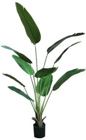 New plan BANANA TREE NP1411_160 ΥΨΟΣ 160cm Τεμαχιο