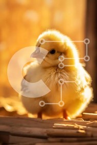 Σετ των 2 Intra Συλλεκτικό Ξύλινο Παζλ Plywood 4mm - Χνουδωτό κίτρινο νεοσσό σε ζεστό φωτισμό Σε Ξύλινο Κουτί - Διαστάσεις: 10x10 cm – 25 κομμάτια