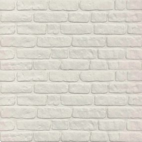 vidaXL Πάνελ τοίχου 10 pcs Λευκό 100 x 50 cm Αφρός EPS