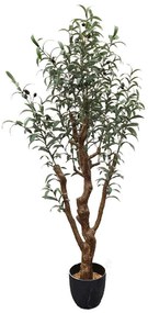 Τεχνητό Δέντρο Ελιά 6660-6 70x70x150cm Green Supergreens Πολυαιθυλένιο