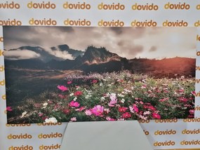 Εικόνα λιβάδι με ανθισμένα λουλούδια