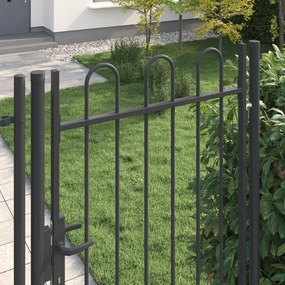 vidaXL Πύλη Φράχτη BOXTEL 103 x 250 εκ Χάλυβας με επίστρωση πούδρας