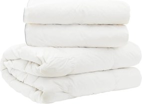 vidaXL Πάπλωμα FULDA 200 x 220 cm 4 Εποχές 310 GSM 90% Χήνας Λευκό