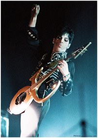 Αφίσα Prince - Live shot, N.E.C. Birmingham 2005